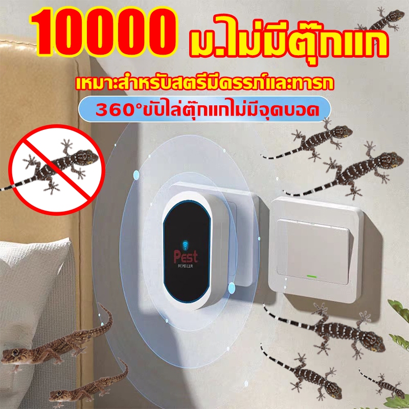 ยาไล่ตุ๊กแก ไล่ตุ๊กแก ยาไล่จิ้งจก 100 ปีไม่มีตุ๊กแก ได้ผล100% เงียบ ไม่รบกวนการนอน เหมาะสำหรับสตรีมีครรภ์และทารก