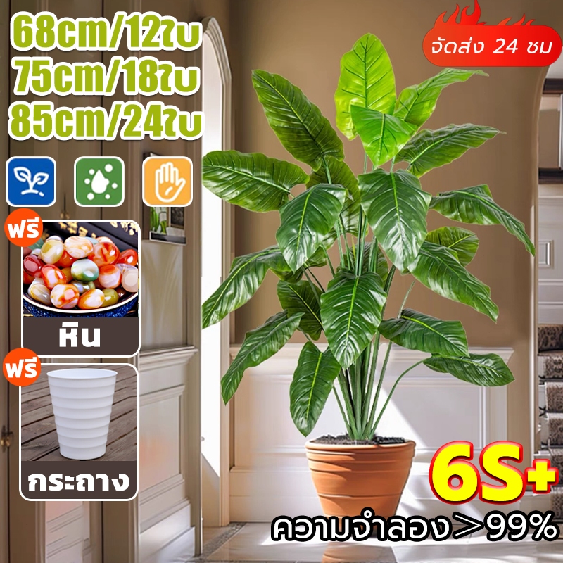 คุ้มสุด!มีของแถม ความจำลอง99% คุณภาพสูง ต้นไม้ปลอมใหญ่ สูง68/85/95cm ตกแต่งบ้าน สไตล์นอร์ดิก ในบ้าน ต้นไม้ปลอม มงคล