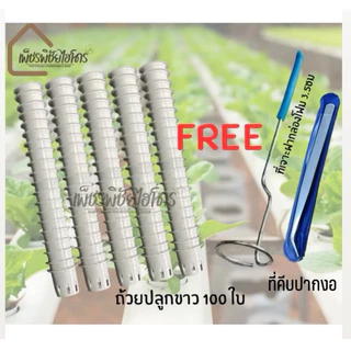 ถ้วยปลูกขาวไฮโดรโปนิกส์พร้อมที่เจาะ1 ฟองน้ำ1 ที่คีบ1