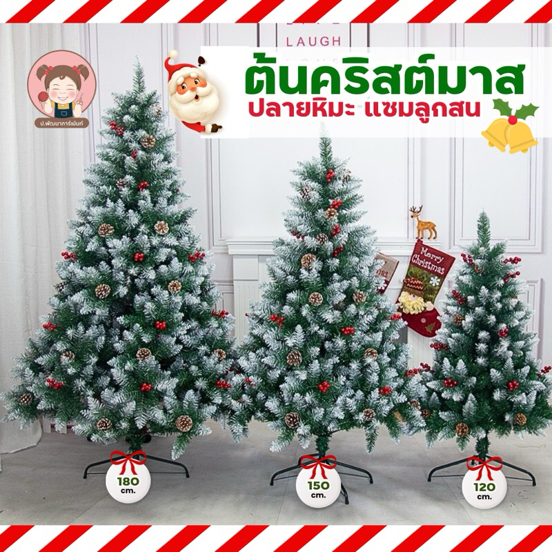 [สินค้าพร้อมส่ง] ต้นคริสต์มาส ปลายหิมะแซมลูกสน ความสูง 120-180 cm. สินค้าจริงสวยมากๆ คุณภาพดี