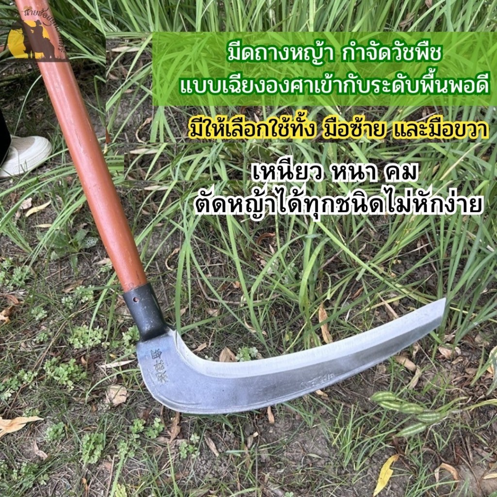 มีดถางหญ้า กำจัดวัชพืช แบบเฉียงองศาเข้ากับระดับพื้นพอดี เหนียว หนา คม ตัดหญ้าได้ทุกชนิดไม่หักง่าย