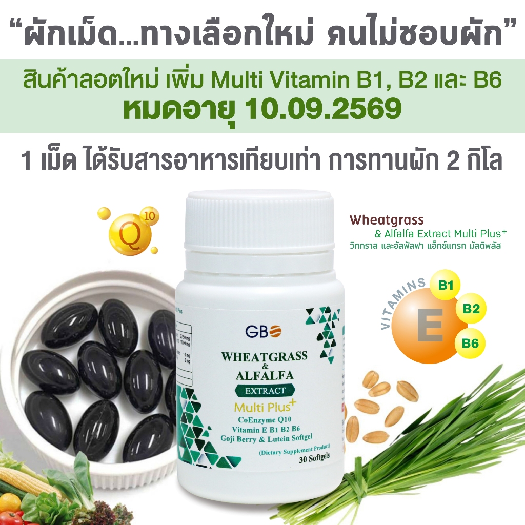 ** ขายราคาส่ง ** ผักเม็ด Wheatgrass & Alfalfa Extract Multi Plus+ Q10 (ฟรีค่าส่ง)