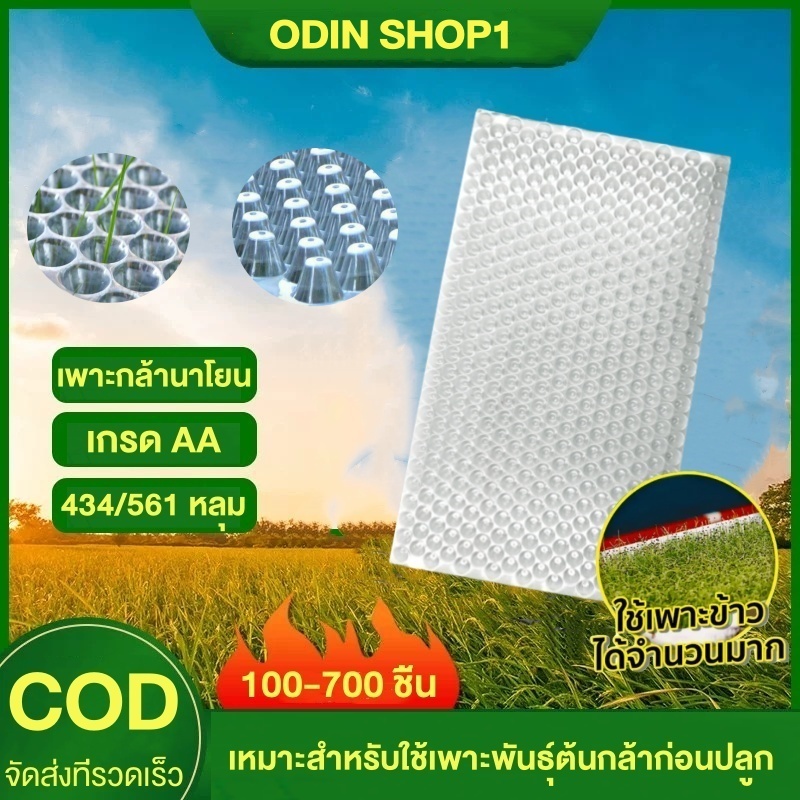 ถาดเพาะกล้านาโยน (Seedling tray) แพ็ค 100-500 ชิ้น 434/561/353 หลุม เกรดA ถาดนาโยน ถาดเพาะกล้า ถาดเพาะต้นข้าว