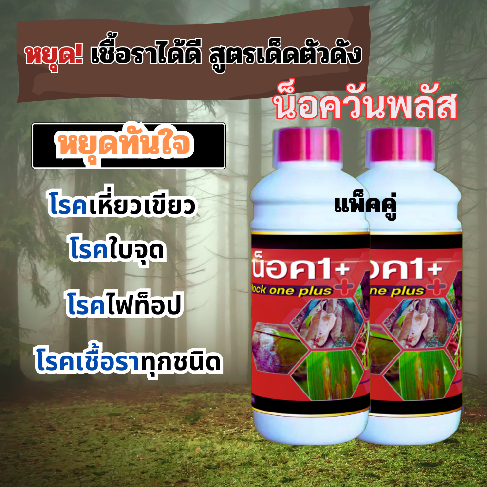 น็อควันพลัส กำจัดและป้องกันเชื้อราพืช ไฟทอปเทอร่า ราสนิม ราใบจุด เหี่ยวเขียว ฟิวซาเรียม