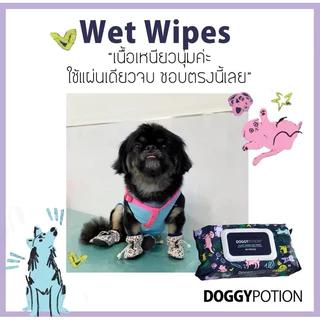 PACK OF 6 Doggy Potion Biodegradable Wet Wipe ทิชชู่เปียกย่อยสลายได้ 80 แผ่น x 6ห่อ