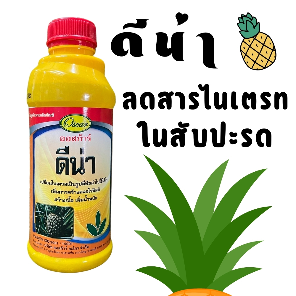 ดีน่า (ออสก้า) ลดสารไรเตรทในสับปะรด สร้างเนื้อ เพิ่มน้ำหนัก เพิ่มผลผลิต เพิ่มการตรึงไนโตรเจนตระกูลถั่ว ขนาด 1 ลิตร