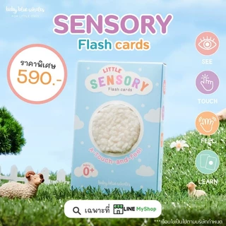 Baby Blue Whales Little Sensory Flashcards (แฟลชการ์ดขนสัตว์ กระตุ้นพัฒนาการ)