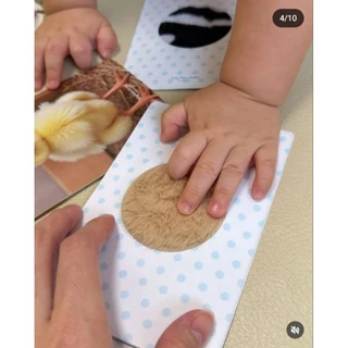 Baby Blue Whales Little Sensory Flashcards (แฟลชการ์ดขนสัตว์ กระตุ้นพัฒนาการ)