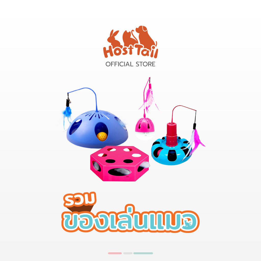HostTail รวมของเล่นทุกรุ่นสำหรับของแมว