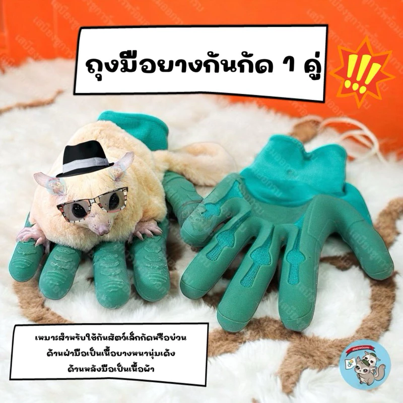 V ( ถุงมือยางกันกัด ) ถุงมือกันกัด ถุงมือชูก้า