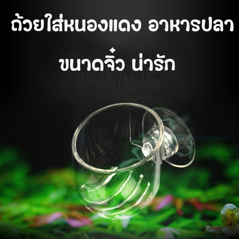 ถ้วยแก้ว ใส่หนอนแดง ไส้เดือนไว้ให้อาหารปลา มี 2 แบบ ถ้วยให้หนอนแดง อาหารปลา ทำจากแก้วอย่างดี ดีไซน์ปลาสวยงาม
