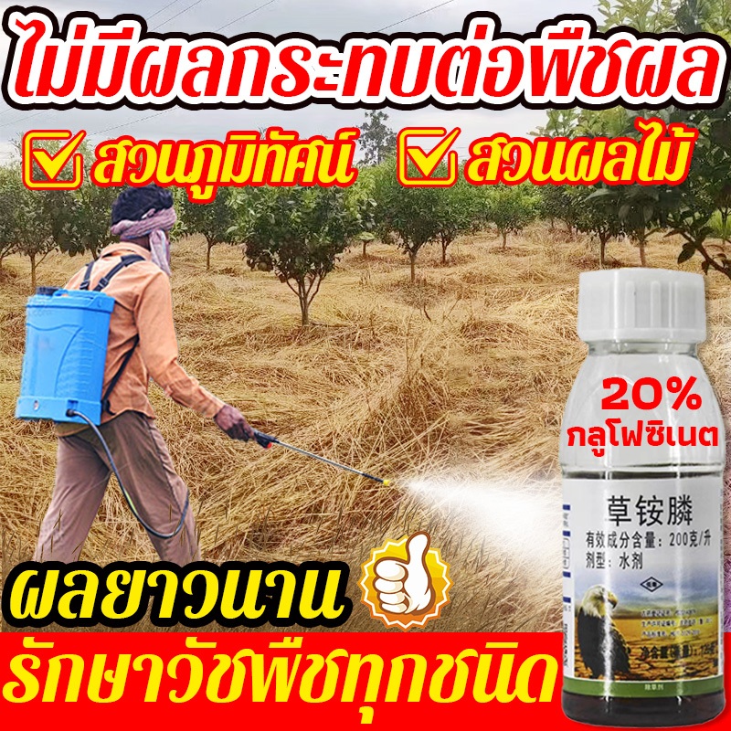 ยาฆ่าย่า ย่าฆ่าหญ้า กลูโฟซิเนต 20% ความเข้มข้นสูง  ตรงไปที่รากผลติดทนนาน ทำให้รากหญ้าเน่าเปื่อยไม่เป็นอันตรายต่อพืชผล