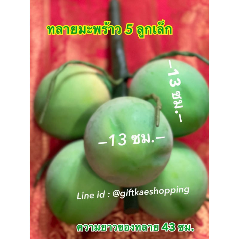 ทลายมะพร้าวลูกเล็ก (ขนาดลูกสูง13ซม.กว้าง 13 ซม.) กรุณาอ่านขนาดให้ดีก่อนสั่งนะคะ