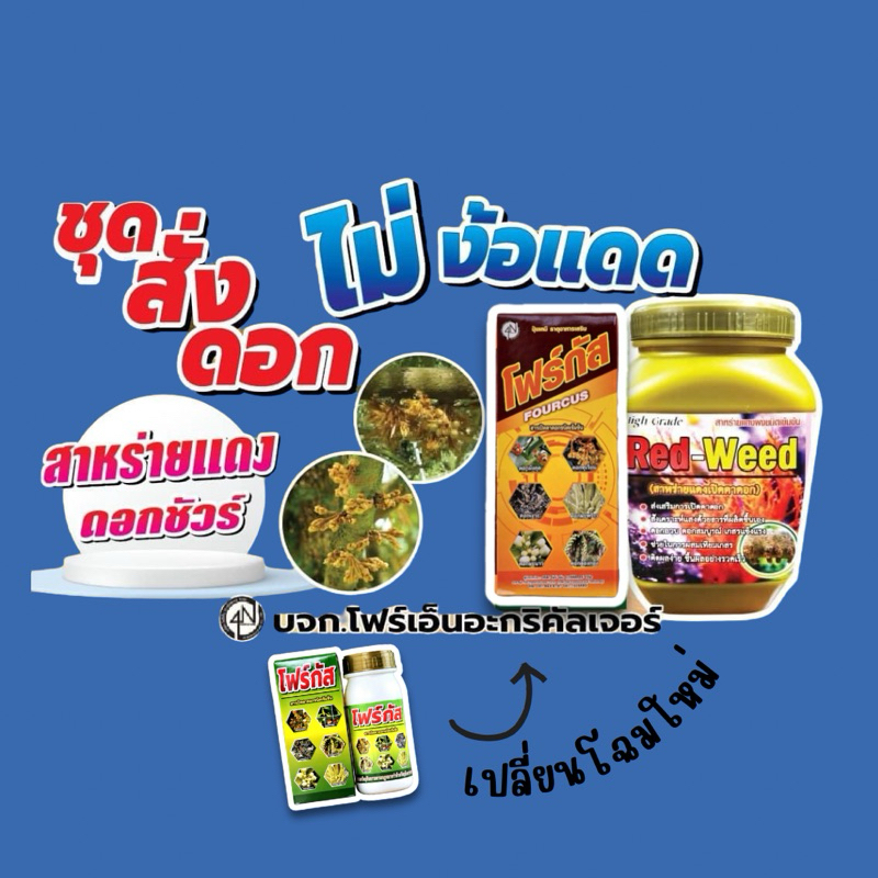 ชุดสั่งดอก ไม่ง้อแดด โฟร์กัส 500ml ไซโต 9BAP (ver. Upgrade9BAR) + สาหร่ายแดง 1 กก ลดอัตราการฝ่อแดง ตาดอกออกเสมอ