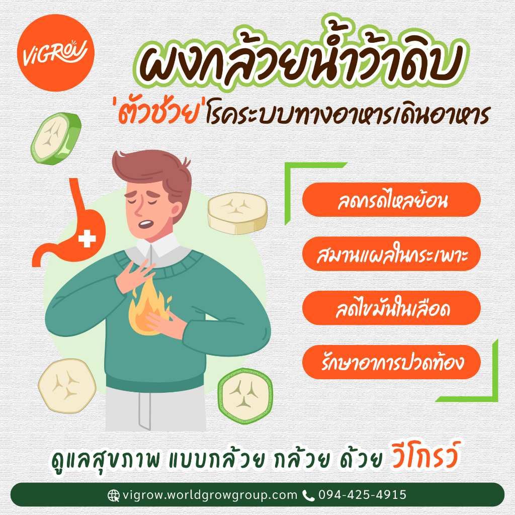 ผงกล้วยน้ำว้าดิบ ออร์แกนิก ตรา เวิลด์โกรว์ ออร์แกนิก ฟาร์ม - รูปที่ 4