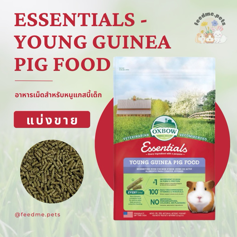 Oxbow Essential - Young Guinea Pig Food อาหารเม็ดสำหรับแกสบี้เด็ก (แบ่งขาย)