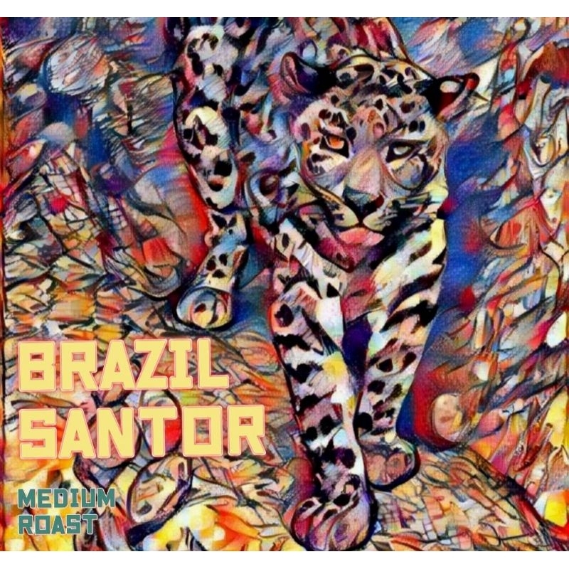 เมล็ดกาแฟ Brazil Santos (คั่วกลาง) 200G