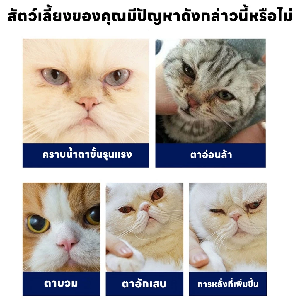 yoyopet ผ้าเช็ดทำความสะอาดตา หู สัตว์เลี้ยง แผ่นอ่อนโยน thumbnail 8