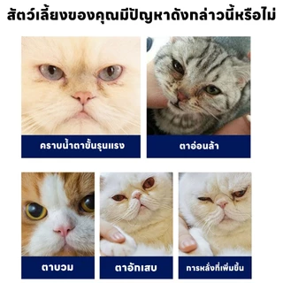 yoyopet : ผ้าเช็ดทำความสะอาดตา หู สัตว์เลี้ยง แบบอ่อนโยน แผ่นเช็ดคราบ สำหรับแมวและสุนัข บรรจุ130ชิ้น