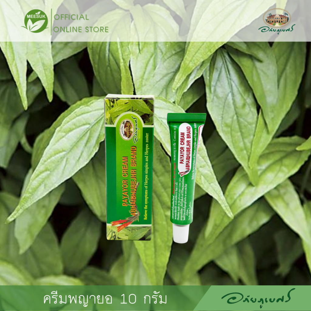 พญายอ อภัย (PHAYA YO) Clinacanthus nutans (Burm.f.) Lindau.