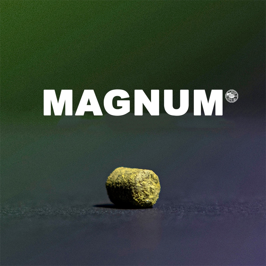 ฮอป ทำเบียร์ Magnum Hops | คราฟท์ คอมโพเนนท์ (57g. , 28g.)