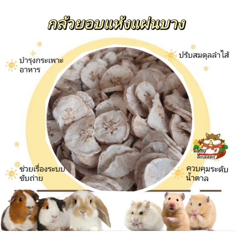 Hamu ❤️ กล้วยอบแห้งแผ่นบาง Dried Banana Slice สำหรับสัตว์ฟันแทะ ไม่ปรุงรส ช่วยลับฟัน กรอบ อร่อย มีประโยชน์