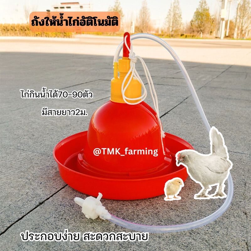 ถังน้ำไก่อัตโนมัติ ที่ให้น้ำไก่ อุปกรณ์ให้น้ำไก่ พาซองไก่