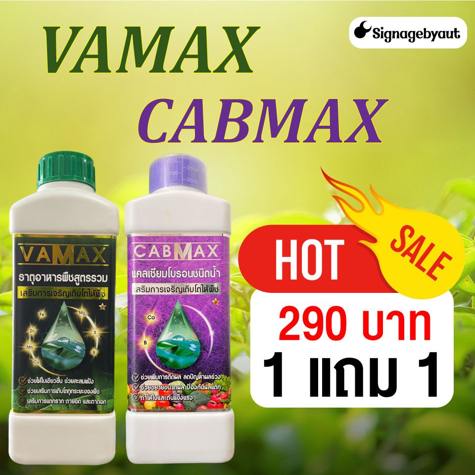 ปุ๋ยพ่น Vamax Cabmax ผลดก ออกดอก ออกผล ใบเขียว ปุ๋ยคู่ราคาประหยัด 1 แถม 1 290 บาท ได้ 2 ขวด