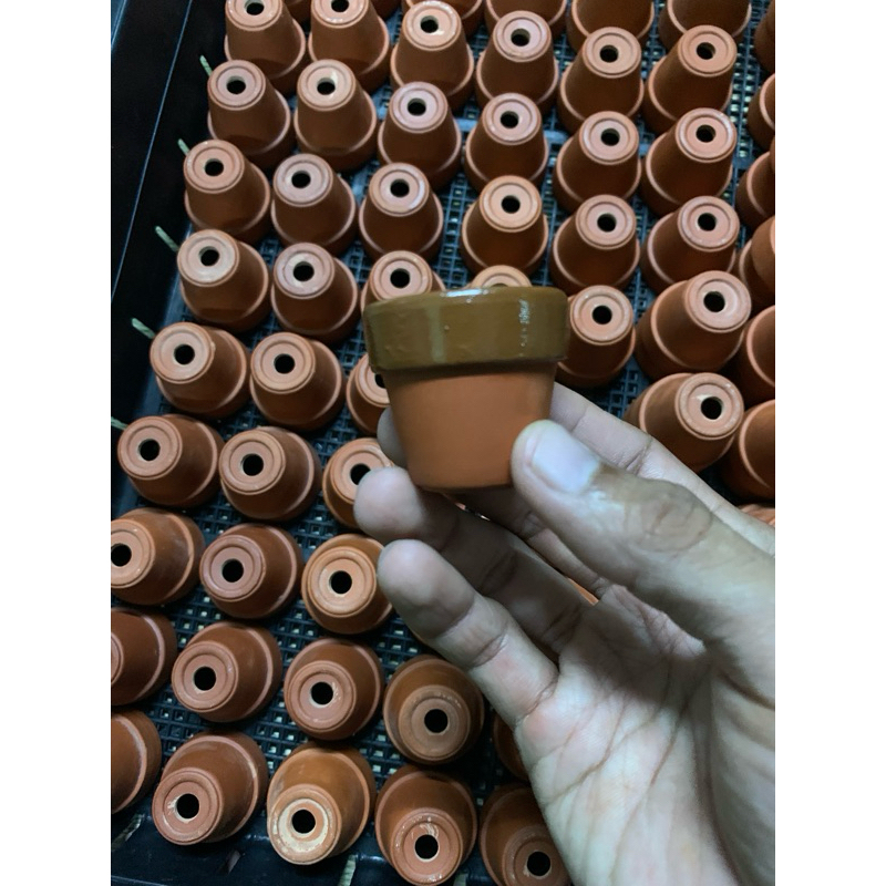 Pots training japan 🇯🇵 กระถางเทรนญี่ปุ่น