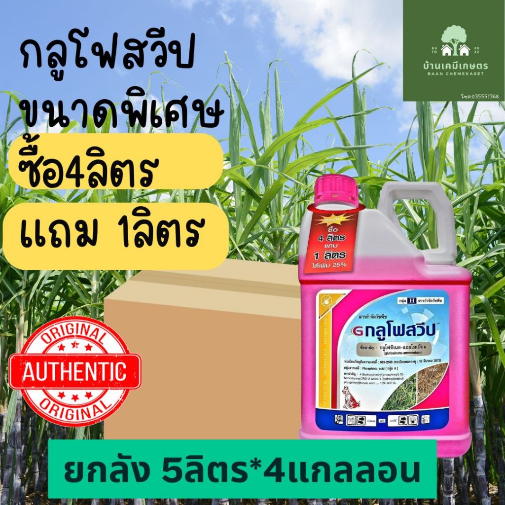 กลูโฟสวีปขนาด หมาแดง 5ลิตร ซื้อ4แถม1ลิตร ยกลัง 4 แกลลอน