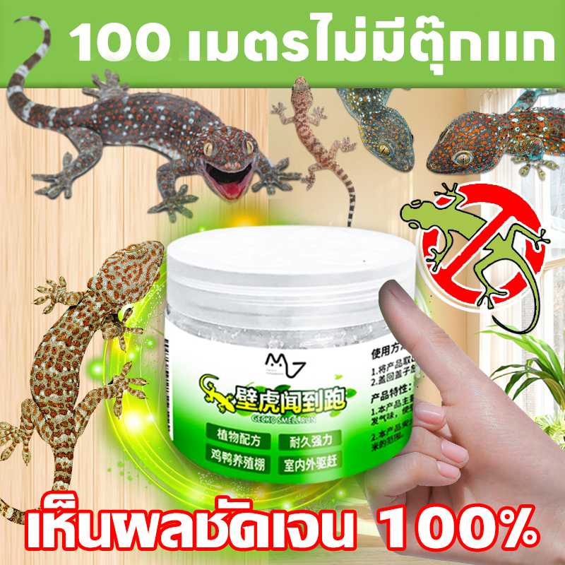 จัดส่งในวันเดียวกัน ยาไล่จิ้งจก ไล่จิ้งจก ไล่ตุ๊กแก ยาฆ่าตุ๊กแก ยาฆ่าจิ้งจก ยาไล่ตุ๊กแก