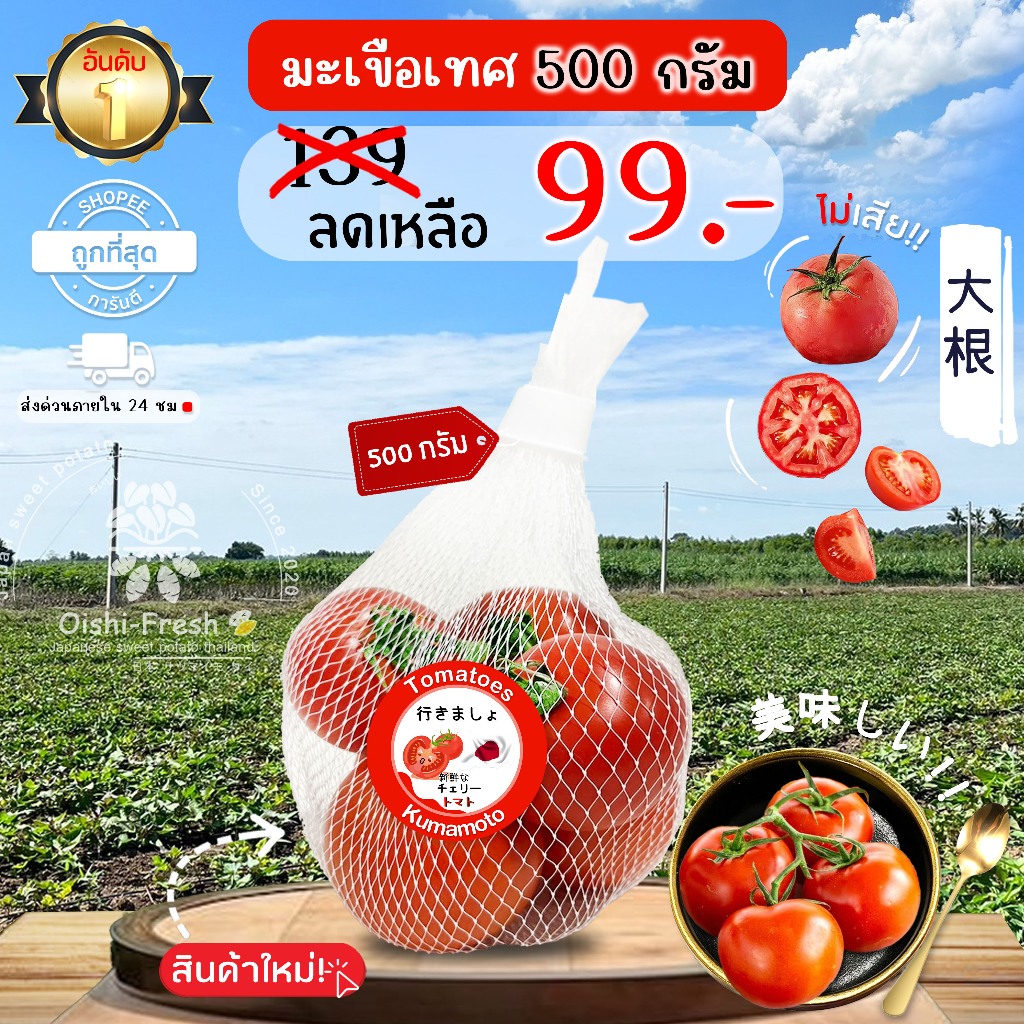 มะเขือเทศ ปลอดสารพิษ 500 ก. รสชาติกรอบ สด ใหม่ ใยอาหารสูง หวานออร์แกนิด เคลมได้ 1-2 วัน