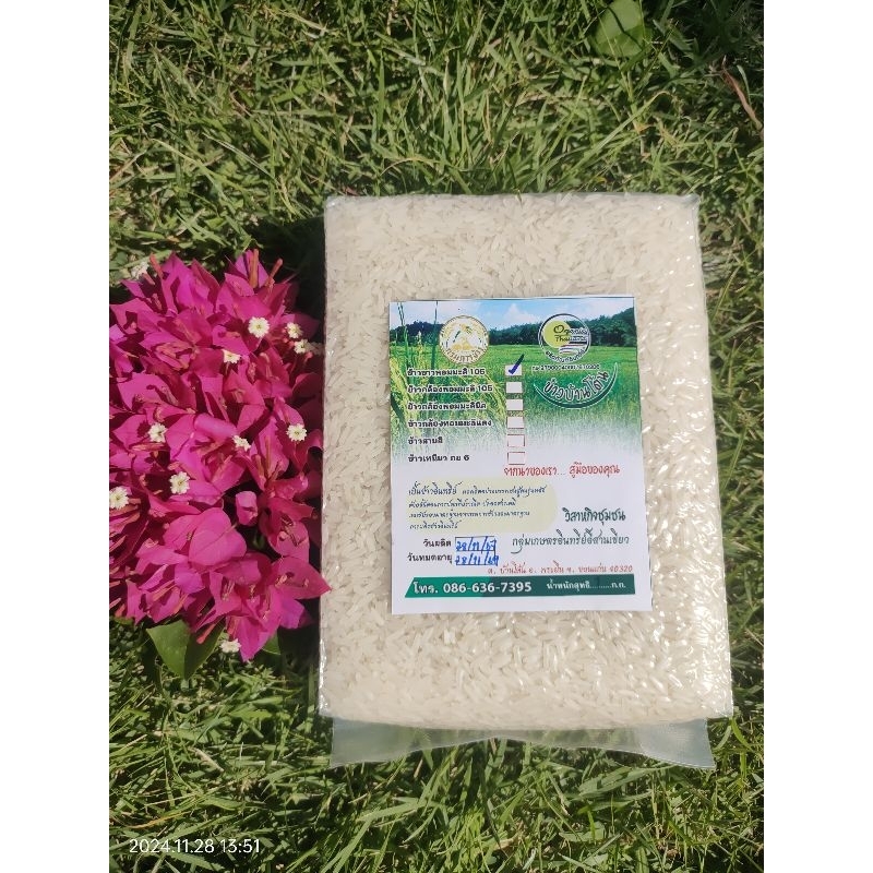 ข้าวหอมมะลิ105ข้าวอินทรีย์