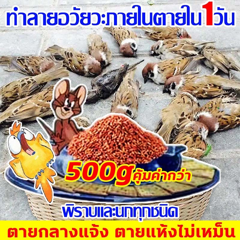 เหยื่อกำจัดนกพิราบ นกกระจอก นกกระจิบ ยาเบื่อนก สูตรใหม่ 1000%ได้ผล ตายแห้งไม่เหม็น ยาเบื่อนกพิราบ ยากำจัดนก ไล่นกพิราบถา