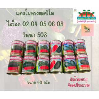 เมล็ดแตงโมทรงตอปิโด ขนาด 40 กรัม ไฮร็อค วันนา