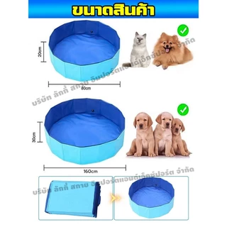 🐶สระน้ำสุนัข สระว่ายน้ำสัตว์เลี้ยง อ่างอาบน้ำสำหรับสัตว์เลี้ยงสามารถพับ วัสดุPVC พร้อมช่องระบายน้ำ มี 3 ขนาด