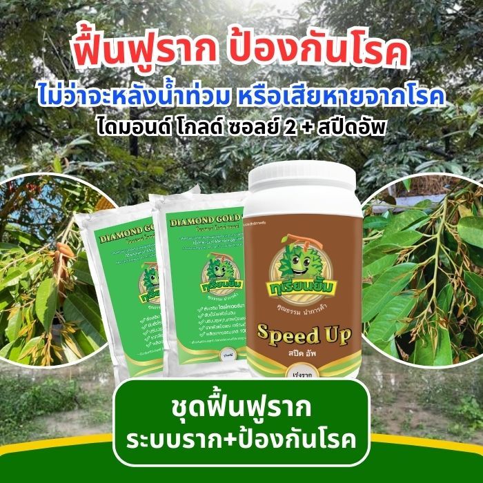 ชุดฟื้นฟูระบบรากพร้อมป้องกันโรค