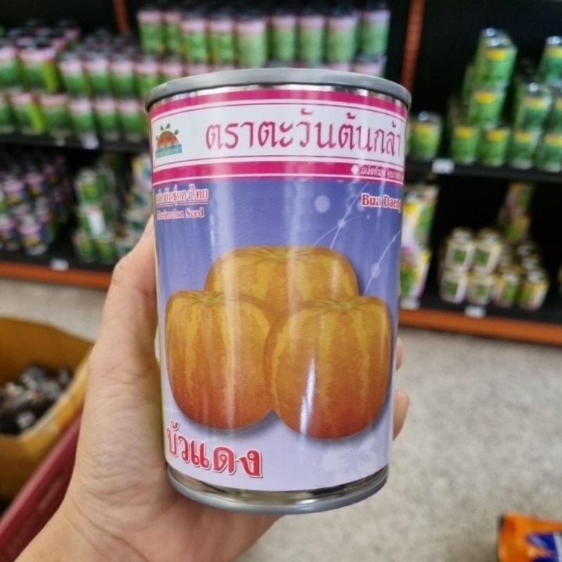 เมล็ดพันธุ์แตงไทยตราตะวันต้นกล้า 80 กรัม