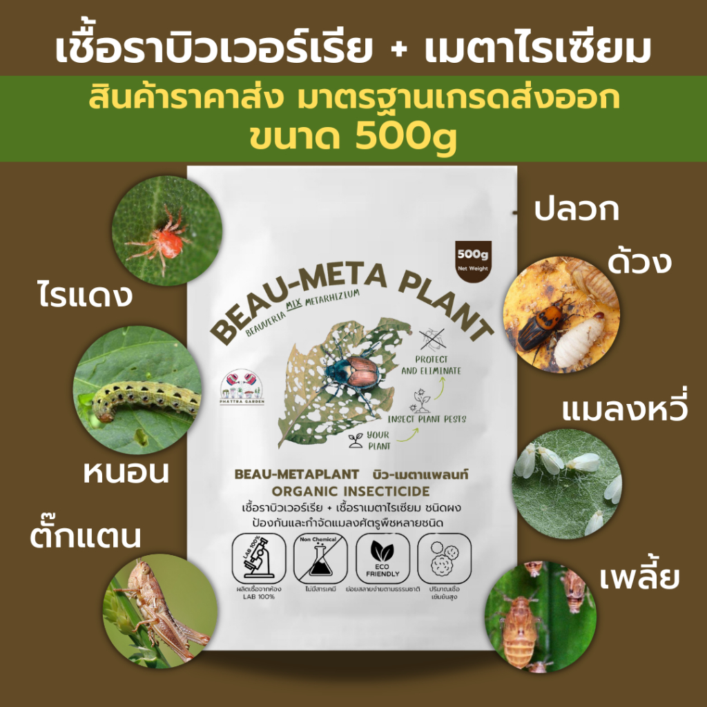 บิวเวอร์เรีย ผสม เมธาไรเซียม 500g กำจัดแมลงศัตรูพืชทุกชนิด ออร์แกนิคแท้ ปลอดภัย