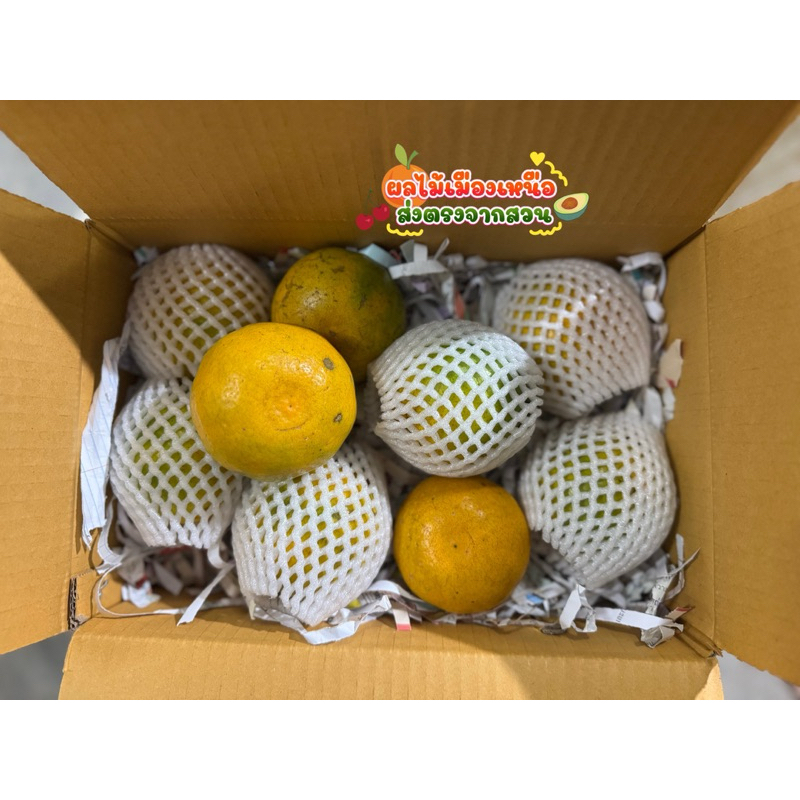 🔥3โลส่งฟรี‼️✅ ส้มสายน้ำผึ้งลูกใหญ่ๆจัมโบ้🎉 เก็บสดจากสวนไม่แว็ค รสชาติหวานอร่อย🍊