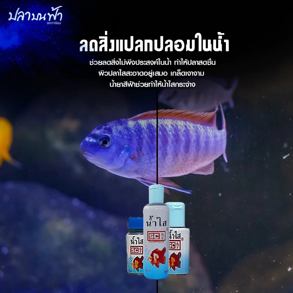 น้ำยาปรับสภาพน้ำใส SC ชนิดเข้มข้นช่วยปรับสภาพน้ำให้ใสสะอาดอยู่ตลอดเวลา โดยไม่ต้องเปลี่ยนน้ำบ่อย thumbnail 5