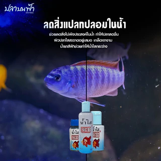 น้ำยาปรับสภาพน้ำใส SC ชนิดเข้มข้นช่วยปรับสภาพน้ำให้ใสสะอาดอยู่ตลอดเวลา โดยไม่ต้องเปลี่ยนน้ำบ่อย