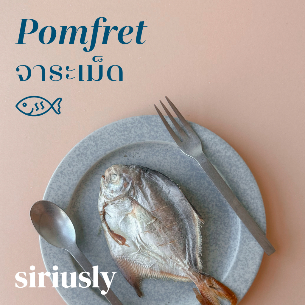 Freeze-dried pomfret dog chew by Siriusly ขนมเคี้ยวปลา จาระเม็ด แช่แข็งอบแห้ง สำหรับน้องหมา