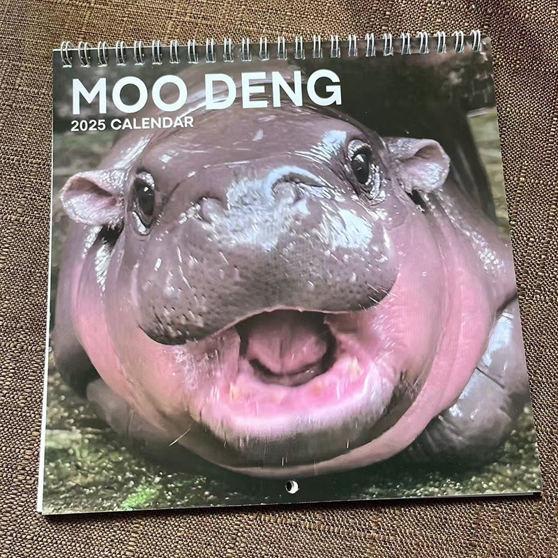 ปี 2025 /2568 หมูเด้ง ปฏิทินตั้งโต๊ะ ฮิปโปน้อย ฮิปโปแคระ Calendar hippo สุดน่ารัก
