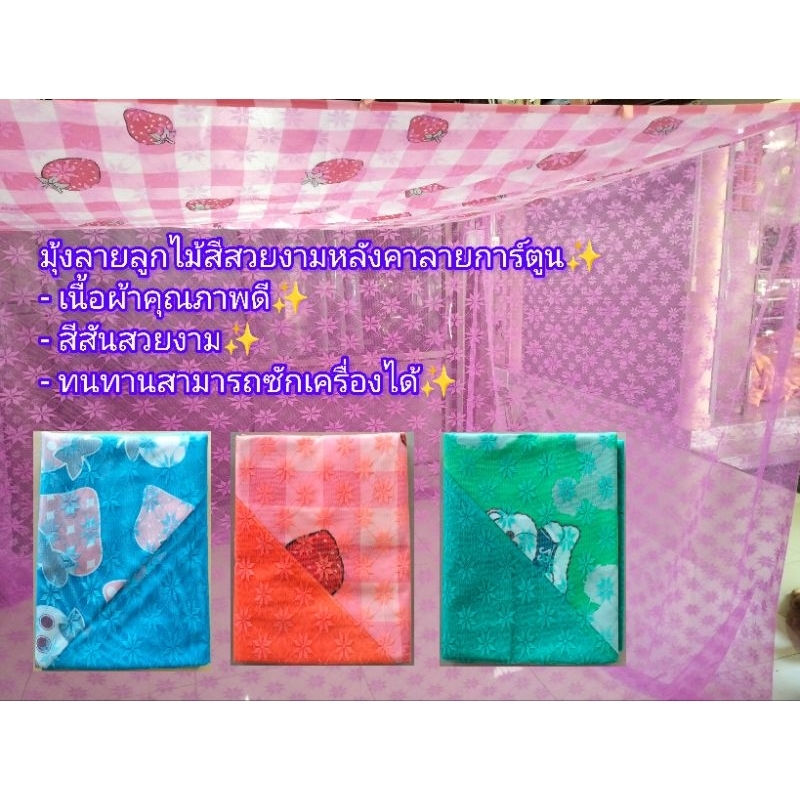 มุ้งลายลูกไม้สีสวยงามหลังคาการ์ตูน