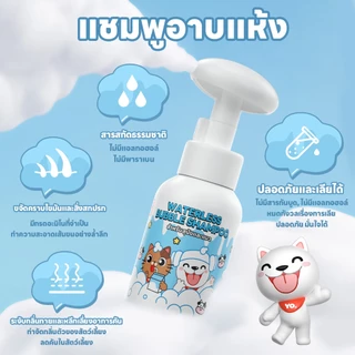 yoyopet : Dry Shampooโฟมอาบน้ำแห้ง กลิ่นLychee กลิ่นหอม ดับกลิ่น ขนนุ่ม สะอาดเลียขนได้ ปลอดภัย 300ml