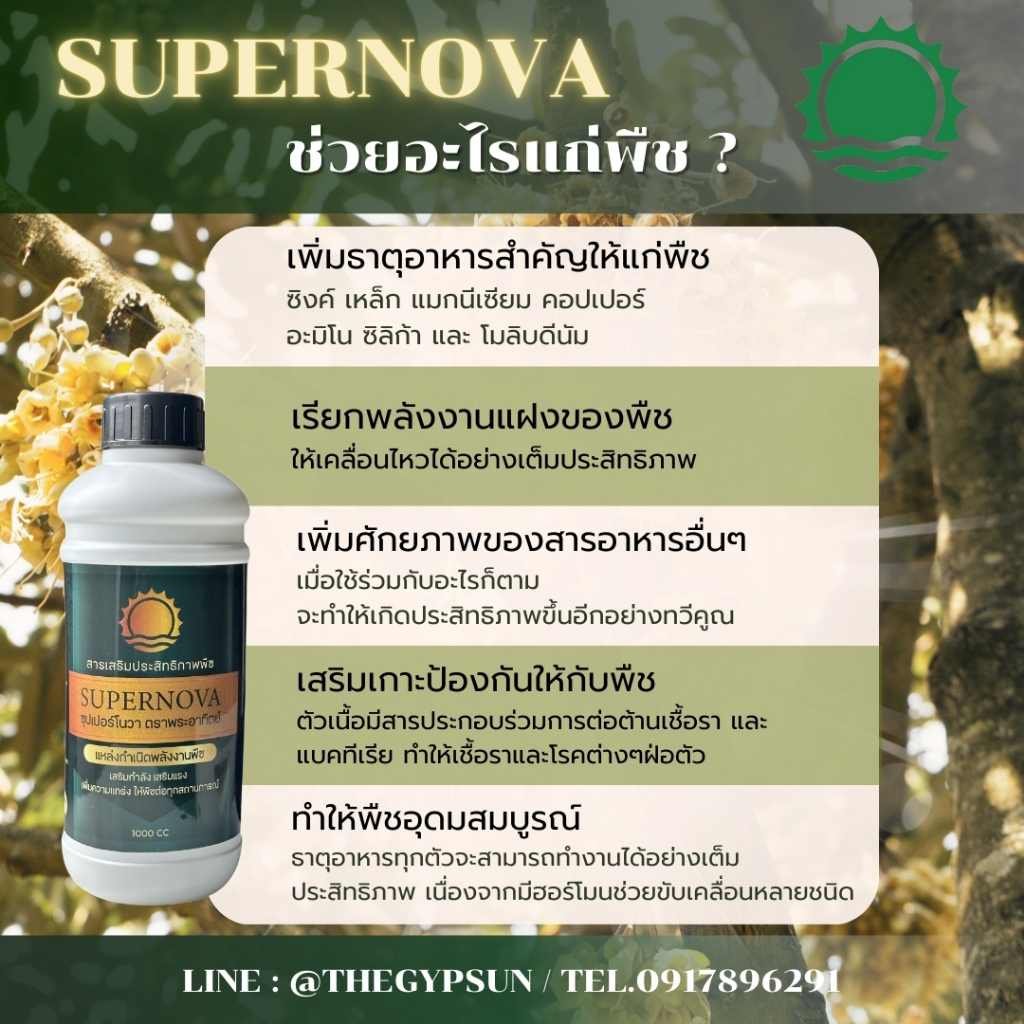 ☀️ ซุปเปอร์โนว่าตราพระอาทิตย์ แหล่งกำเนิดพลังงานพืช ขนาดบรรจุ 1 ลิตร เห็นผลใน 2 ครั้งที่ใช้ ซุปเปอร์โนว่า Supernova - รูปที่ 5