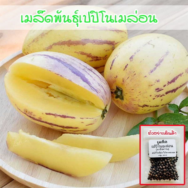 เมล็ดพันธุ์ Pepino Melon 20-50 เมล็ด เปปิโนเมล่อน หวานกรอบ รสชาติอร่อย ปลูกง่าย (ซื้อ 10 แถม 1 คละได้)
