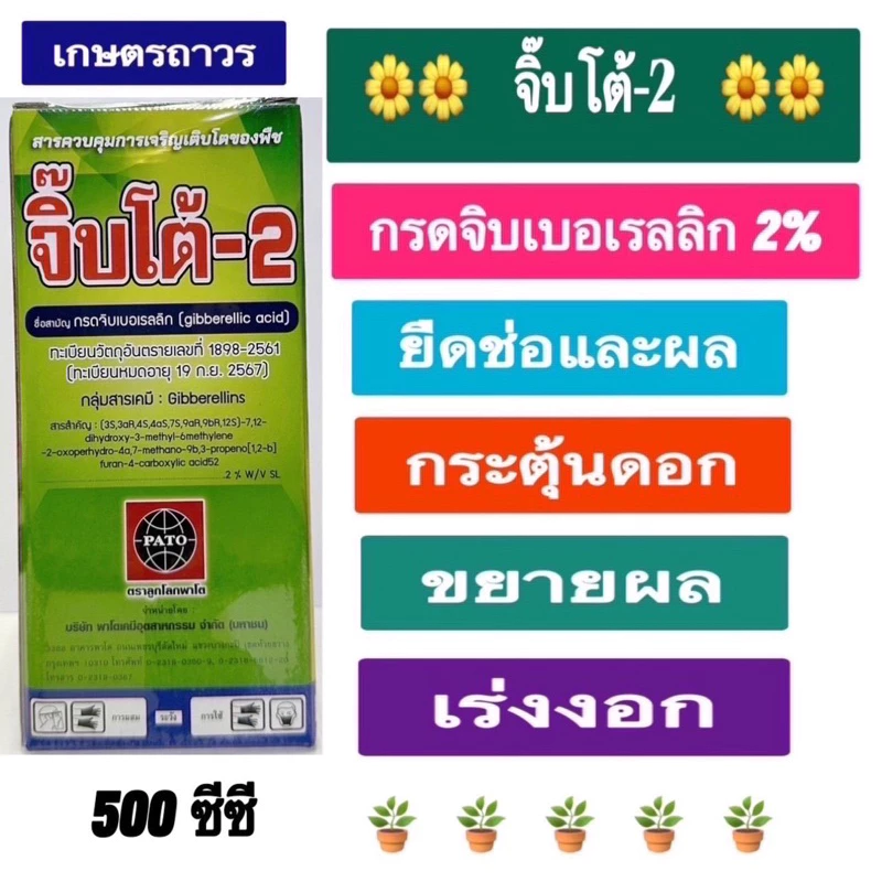 จิ๊บโต้-2 ขนาด 500 ซีซี กรดจิบเบอเรลลิก 2%ช่วยในการ ยืดช่อและผล เร่งการงอกของเมล็ด และขยายผล