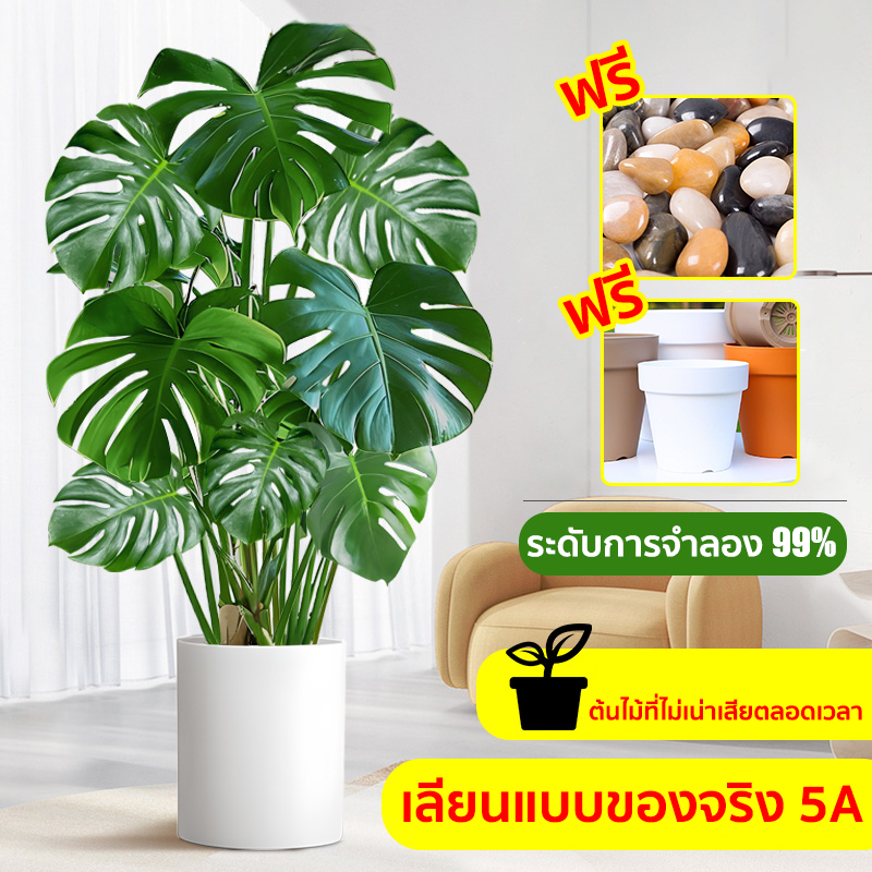 ราคาถูกที่สุด มอนเสตอร่า ต้นไม้ปลอมใหญ่ ต้นไม้เทียม 90cm/18ใบ ฟรีกระถางดอกไม้ต้นไม้+หินตกแต่ง สไตล์นอร์ดิก ในบ้า